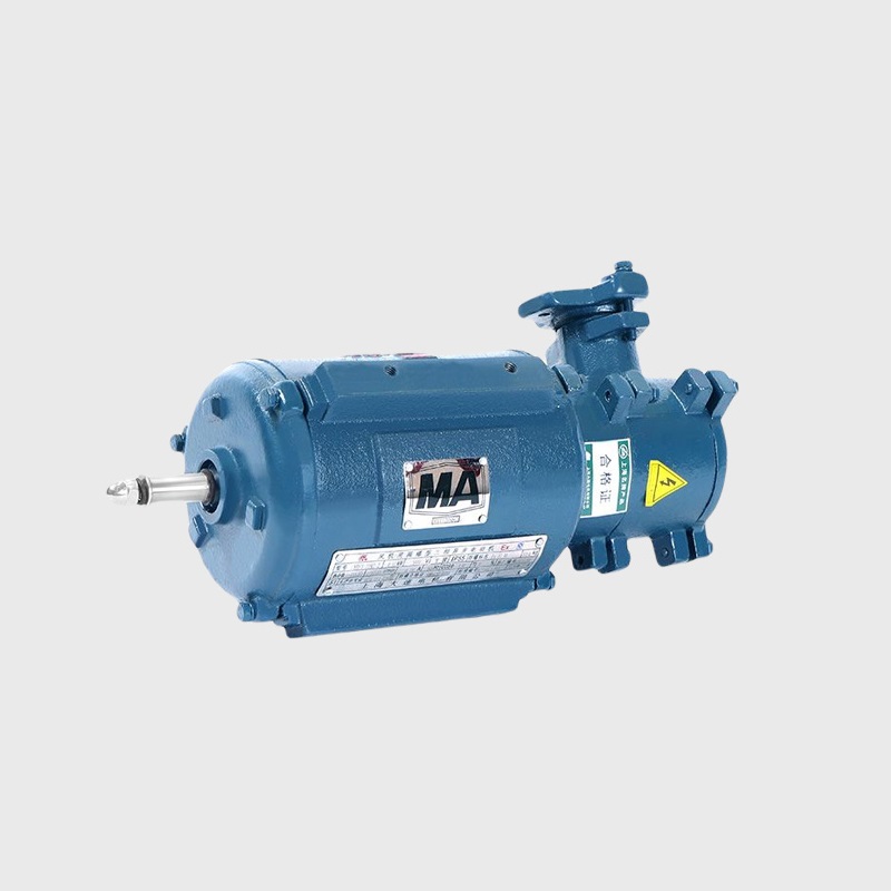 YBF3-B30系列風(fēng)機(jī)用隔爆型三相異步電動(dòng)機(jī)