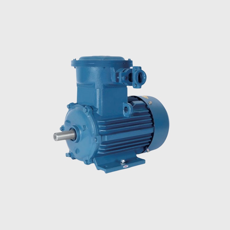 YBD3系列隔爆型變極多速三相異步電動(dòng)機(jī)
