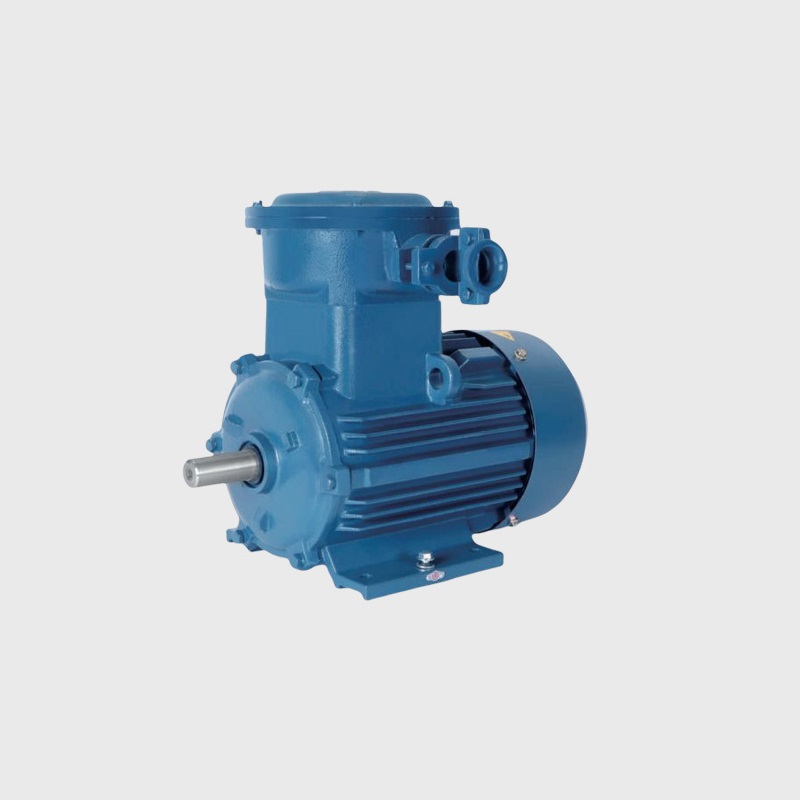 YB3系列隔爆型三相異步電動(dòng)機(jī)
