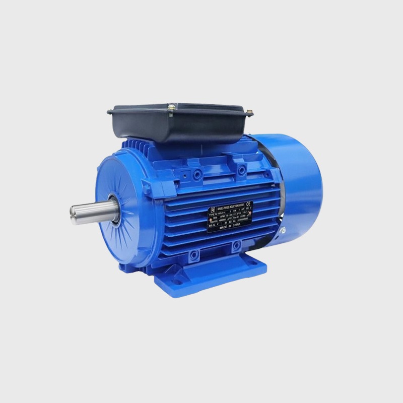 YL系列雙值電溶單相異步電動機(jī).